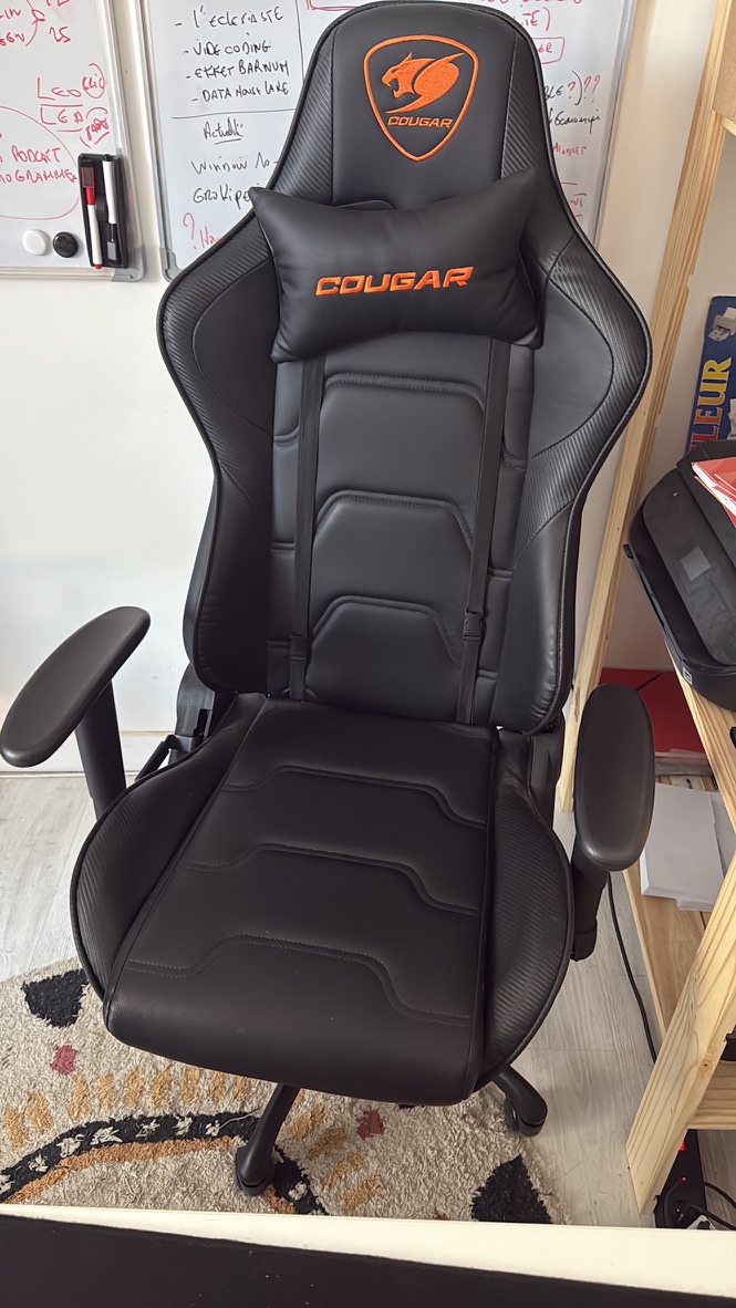 Photo originale du fauteuil utilisée pour la démonstration